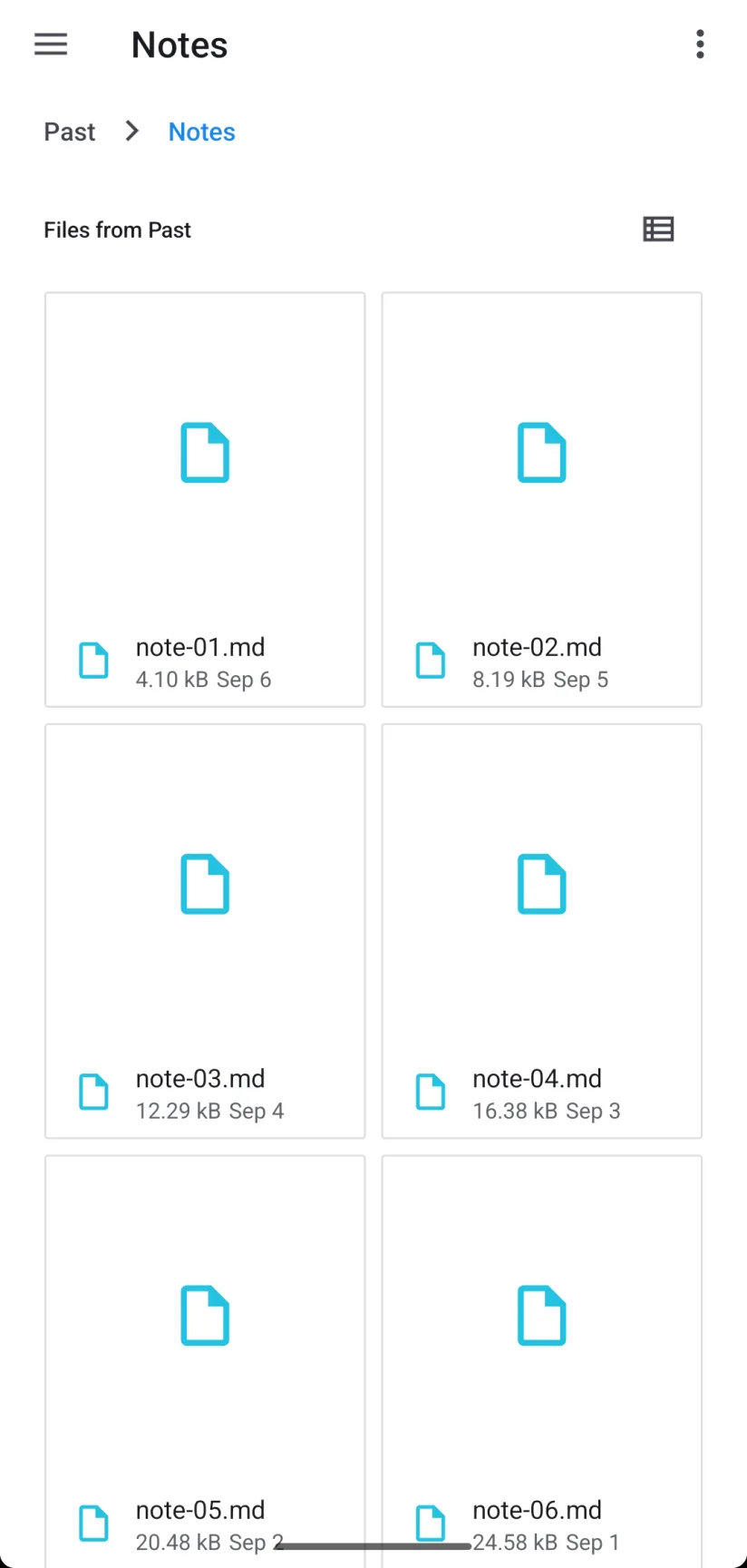 Android Files app: a Past folder open