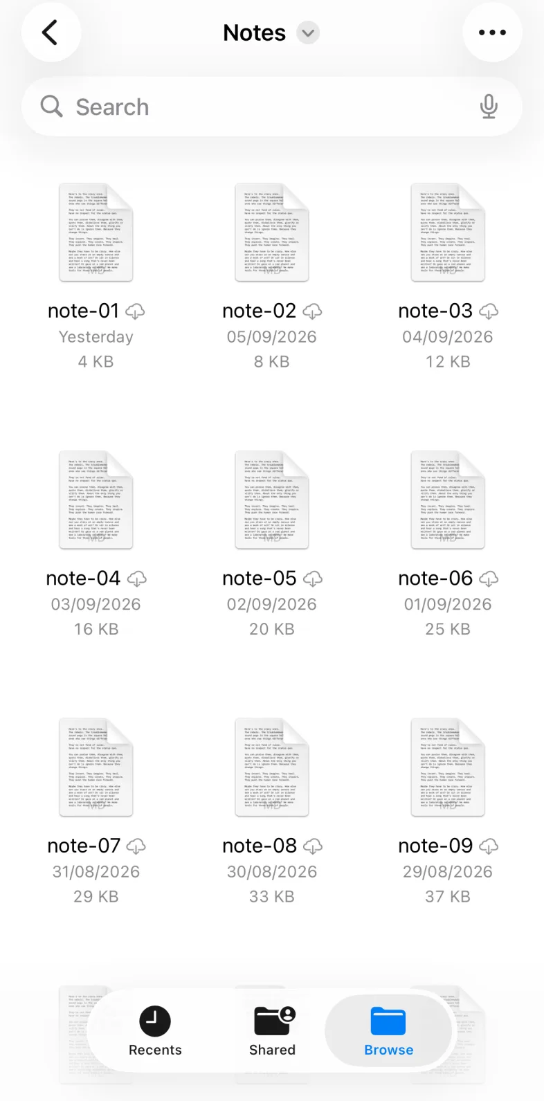 iOS Files app: a Past folder open